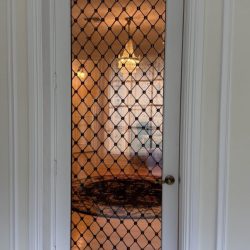 White door with glass panel featuring a black lattice pattern; chandelier and rug visible through the glass.